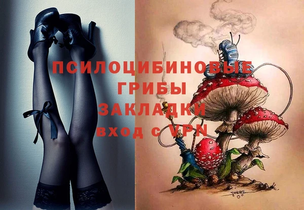 стаф Армянск