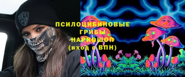 меф Алексин