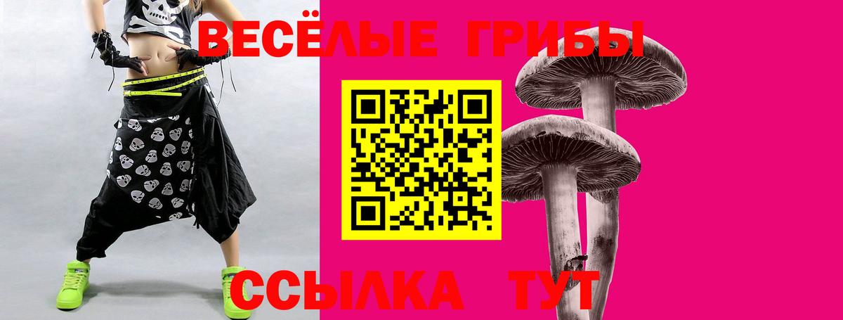 Строитель  Галлюциногенные грибы MAGIC MUSHROOMS  Вход с VPN 