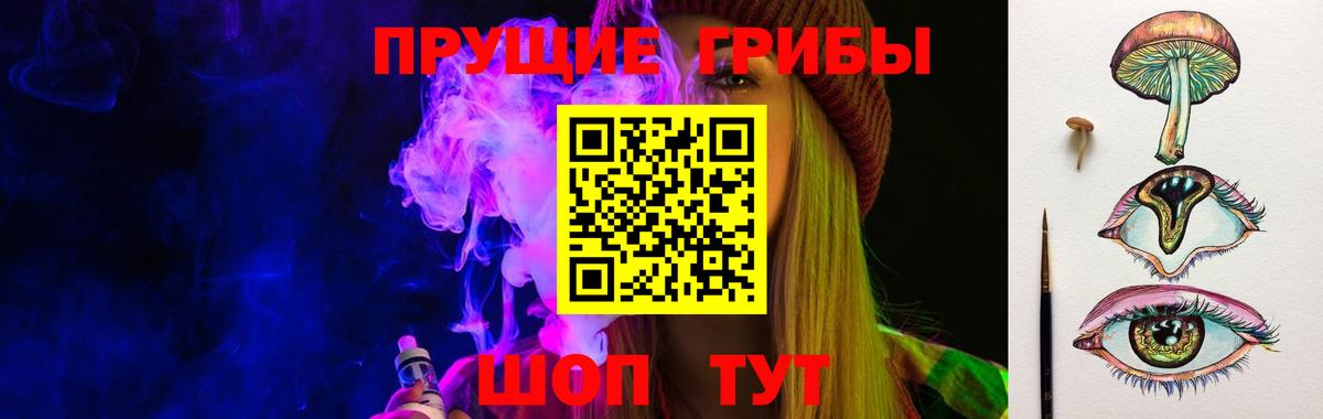 Псилоцибиновые грибы GOLDEN TEACHER Строитель